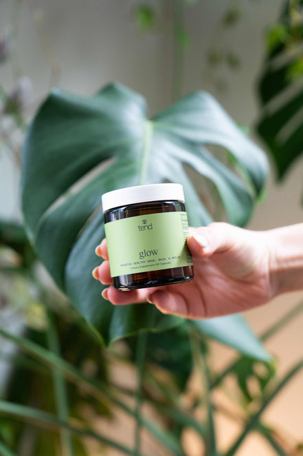 Tend Glow supplement bottle held in front of a green plant